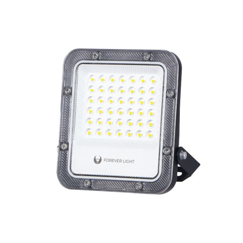 Naświetlacz led proxim+ 30w 6500k 4500lm 230v ip65 forever light 150lm/w 5 lat gwarancji