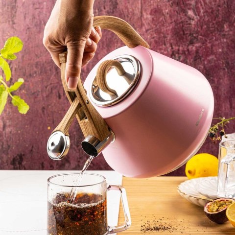 CZAJNIK STALOWY Z GWIZDKIEM 2,5L KLAUSBERG KB-9064 RÓŻOWY